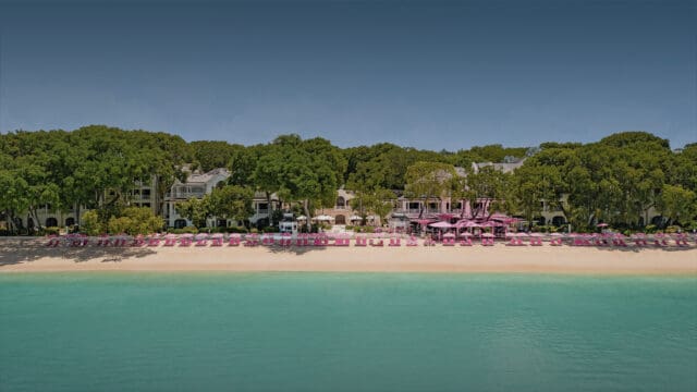 sandylane-homepage-header-01-6480fc90a9c26