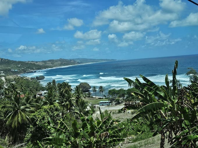 Foster & Ince Cruise Services Inc.