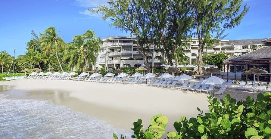 Bougainvillea Barbados
