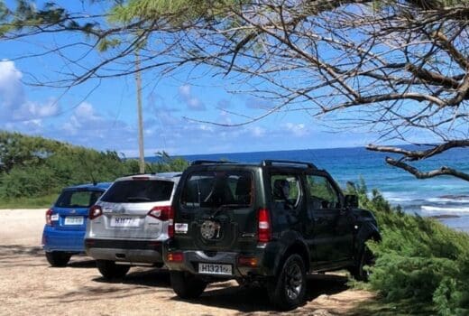 drive_a_matic_vehicles_on_the_east_coast