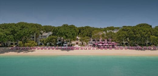 sandylane-homepage-header-01-6480fc90a9c26