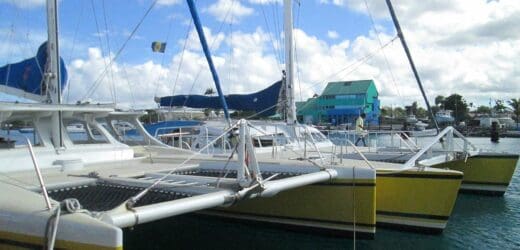 tiami-catamaran-sailing