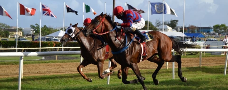 Barbados Turf Club