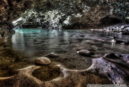 animal-flower-cave