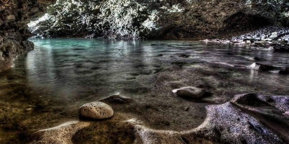 Animal Flower Cave