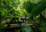 Sugar Cane Club Hotel and Spa