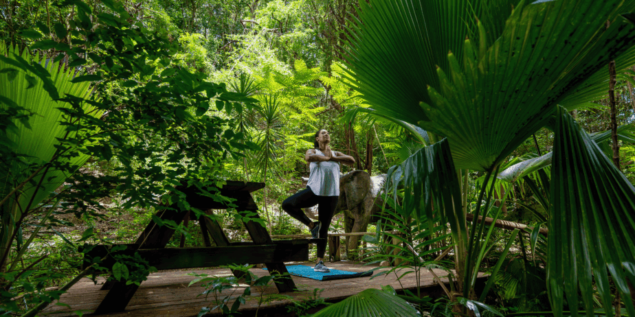 Sugar Cane Club Hotel and Spa