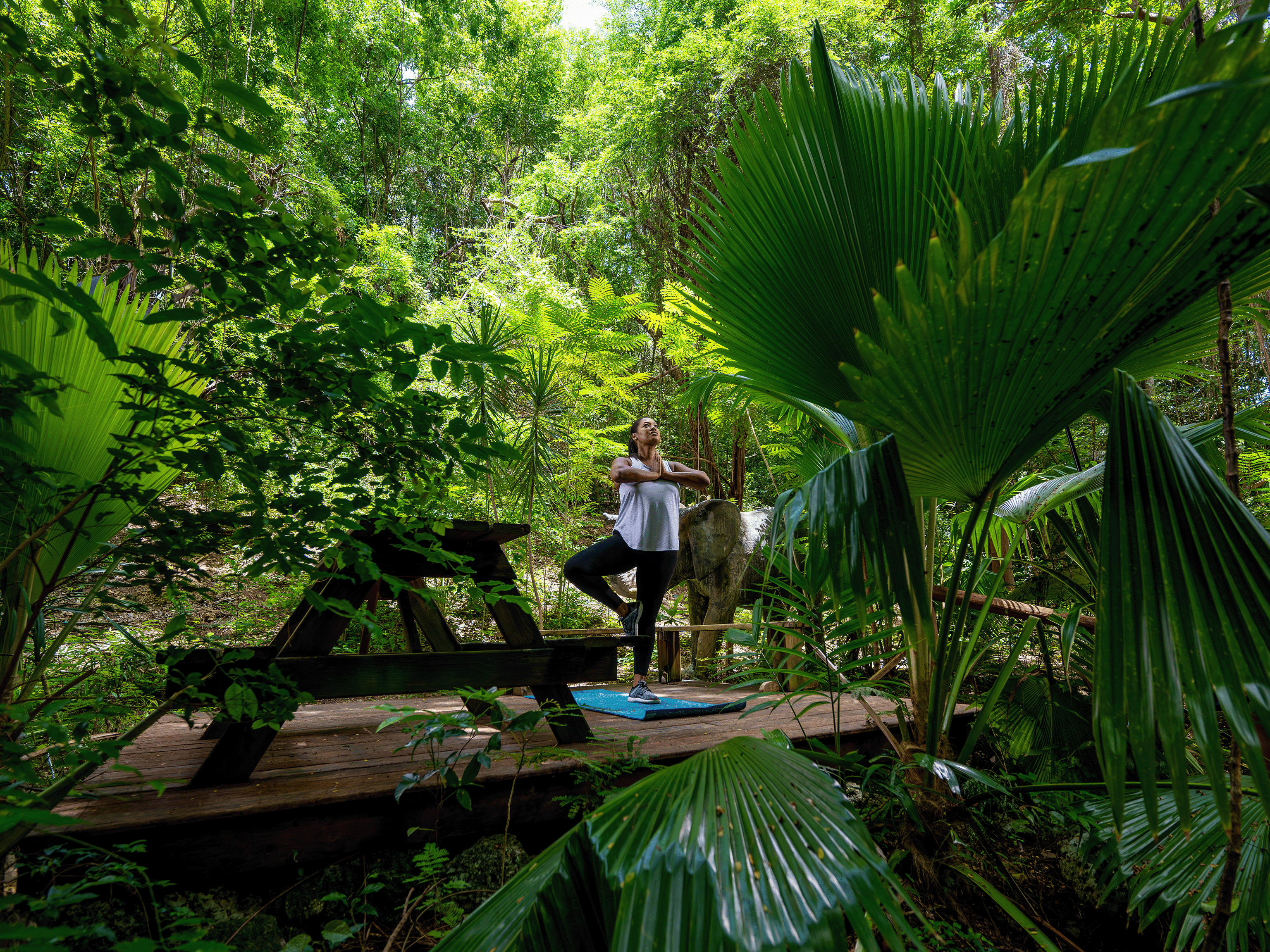 Sugar Cane Club Hotel and Spa