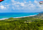 Top Car Rentals